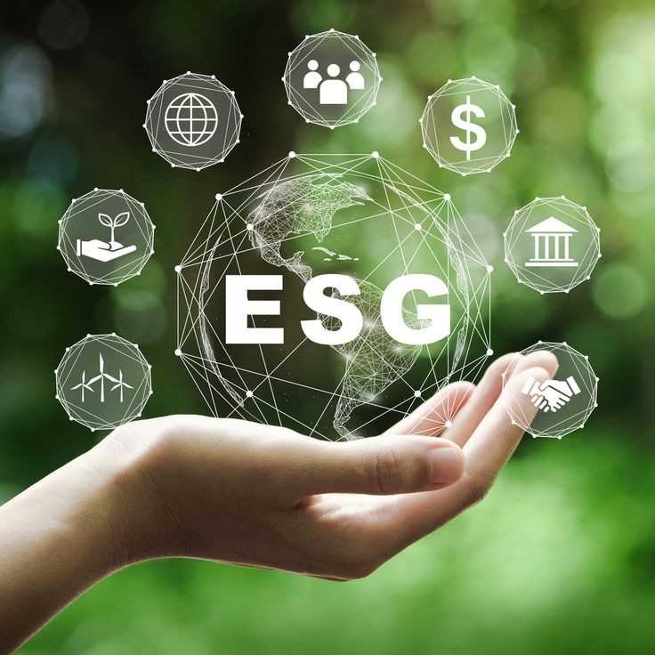 Sustainability & ESG Strategy Overview